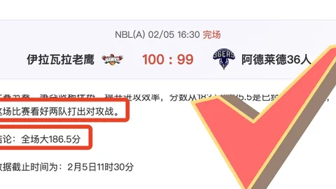 十年春运路，动车情缘录