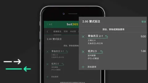 “国王队逆境重生，大班无缘季后赛，能否逆风翻盘创奇迹？”